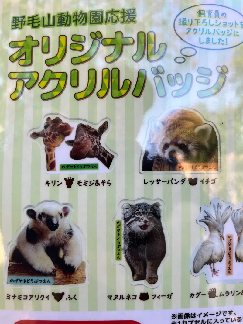 野毛山動物園のフィーガの写真