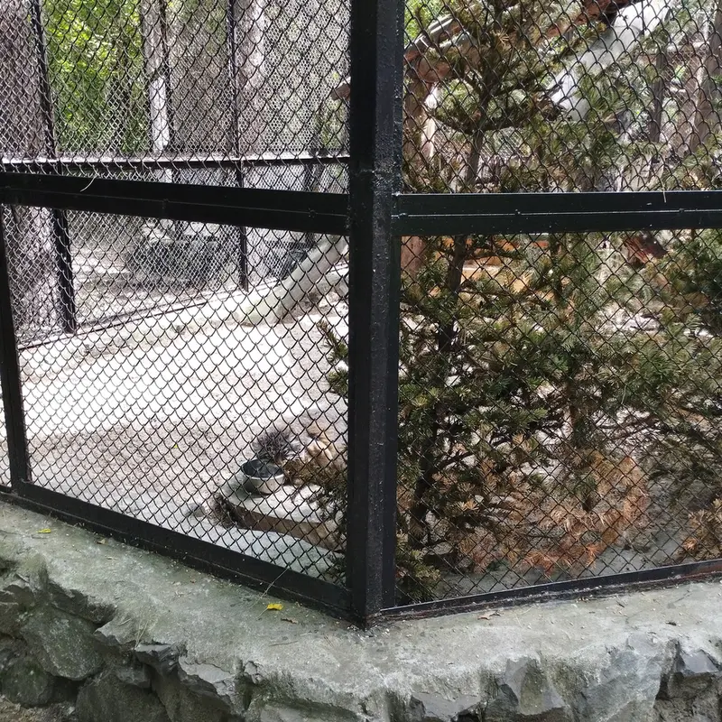 ノヴォシビルスク動物園のゼレノゴルスクの写真