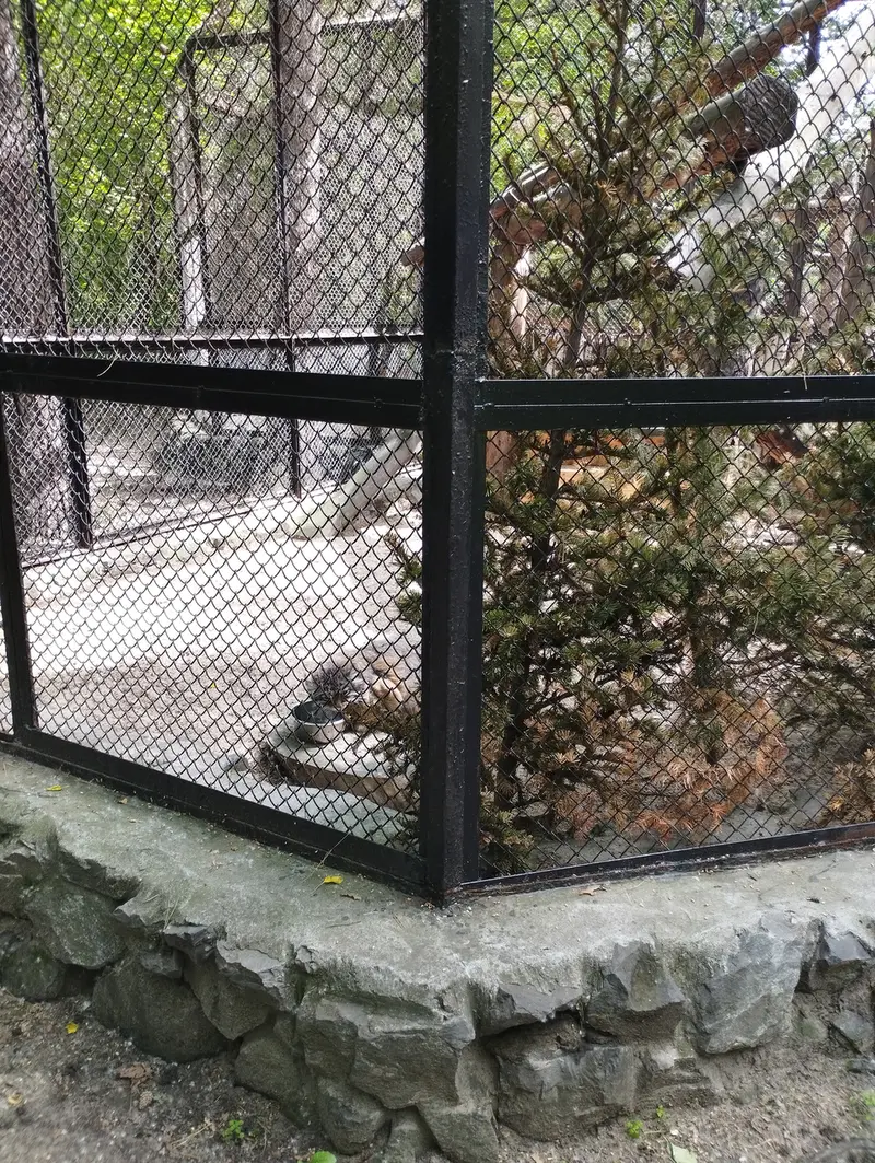 ノヴォシビルスク動物園のゼレノゴルスクの写真