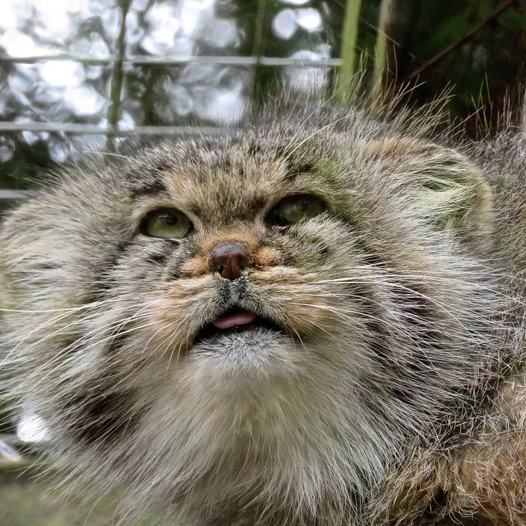 バナム動物園のバックの写真