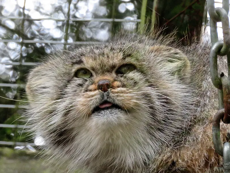 バナム動物園のバックの写真