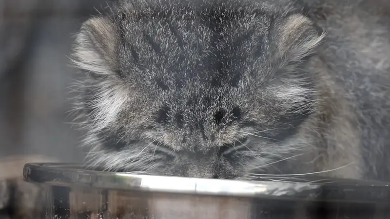 今日のニュース 2