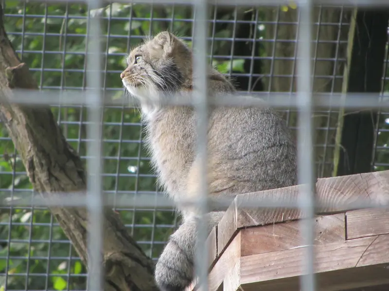 ザールブリュッケン動物園のカール・ハインツの写真