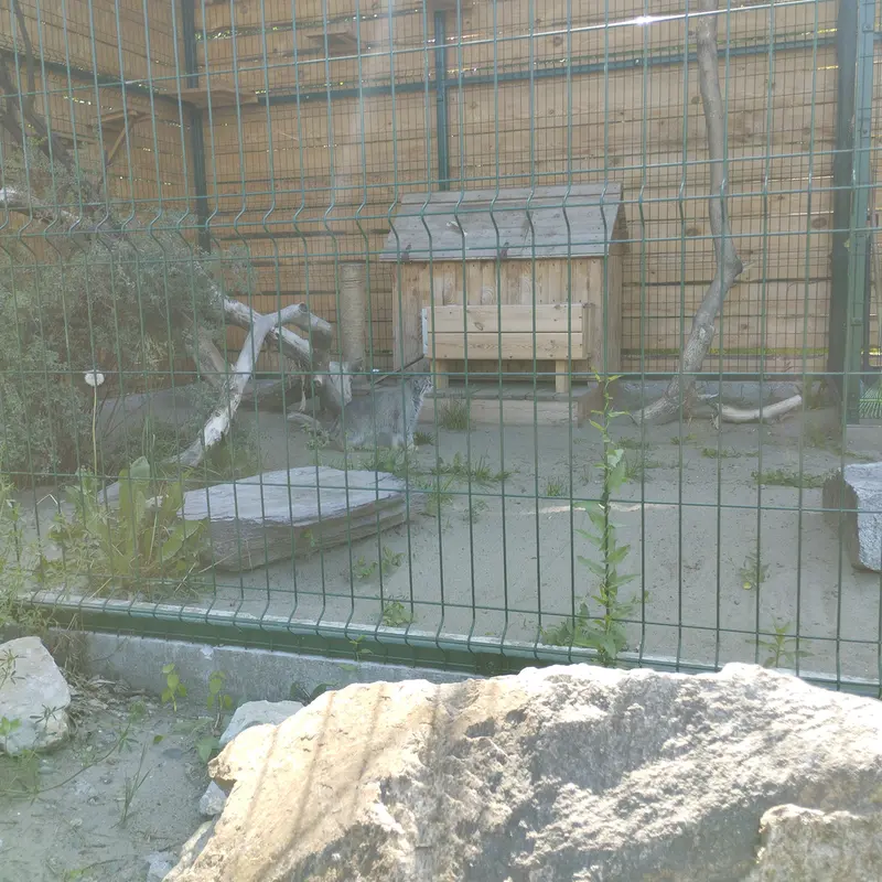 バルナウル動物園「レースナヤ・スカースカ」のペペの写真