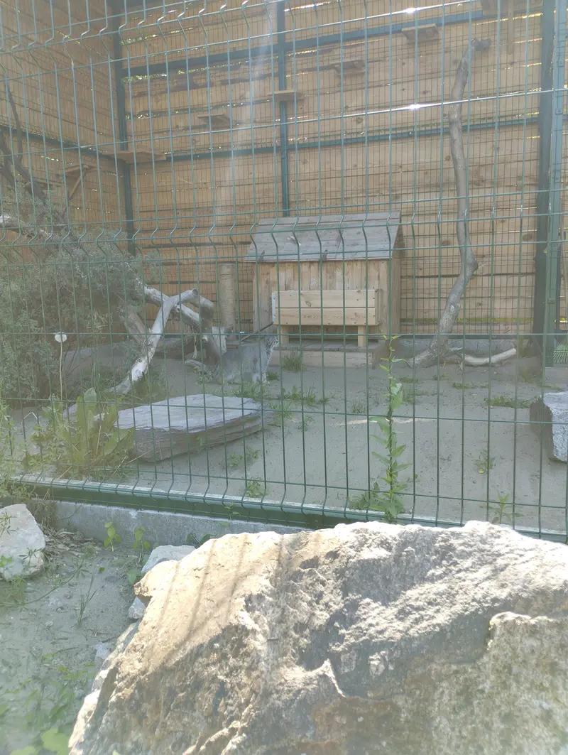 バルナウル動物園「レースナヤ・スカースカ」のペペの写真