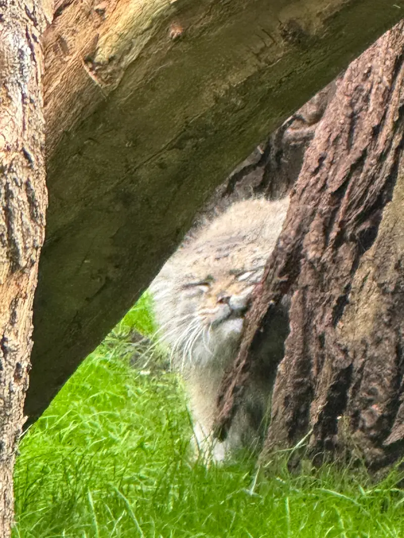 ワルシャワ動物園のジェシーの写真