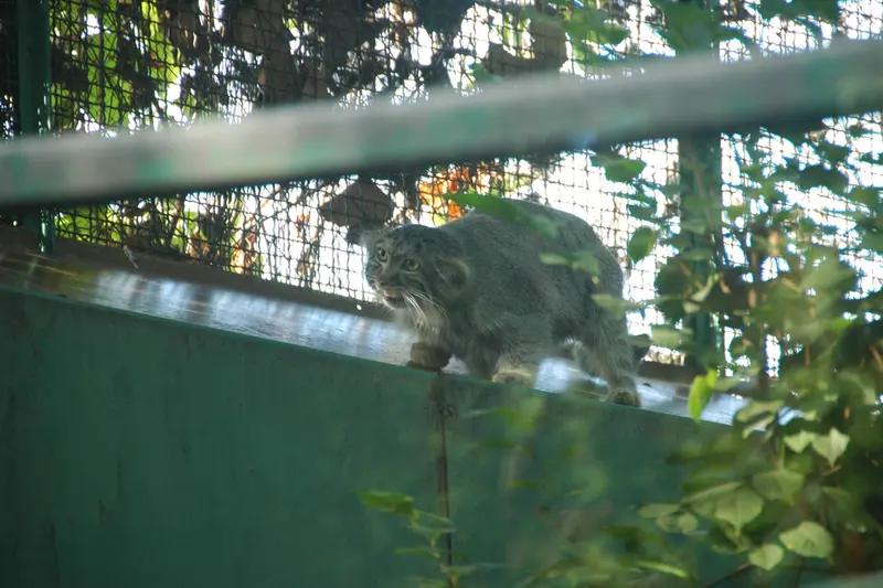 ブダペスト動物園・植物園のルーシーの写真
