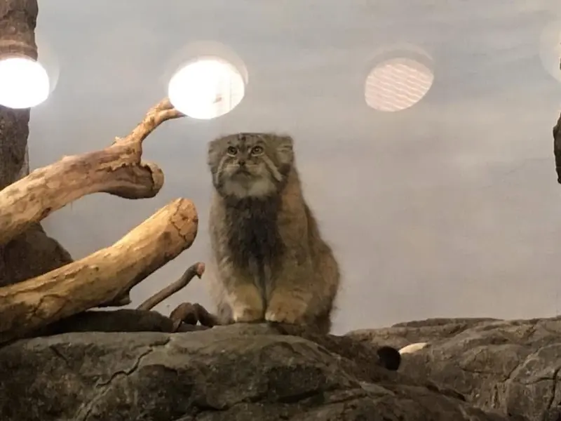 プロスペクト・パーク動物園のボリスの写真