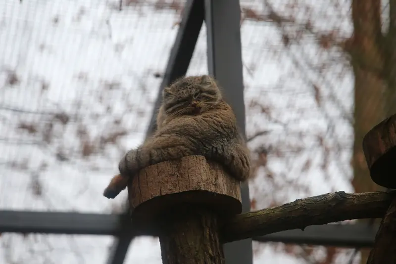 グダニスク動物園のウラの写真