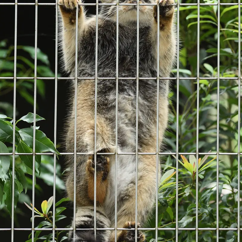 東山動植物園のノブの写真
