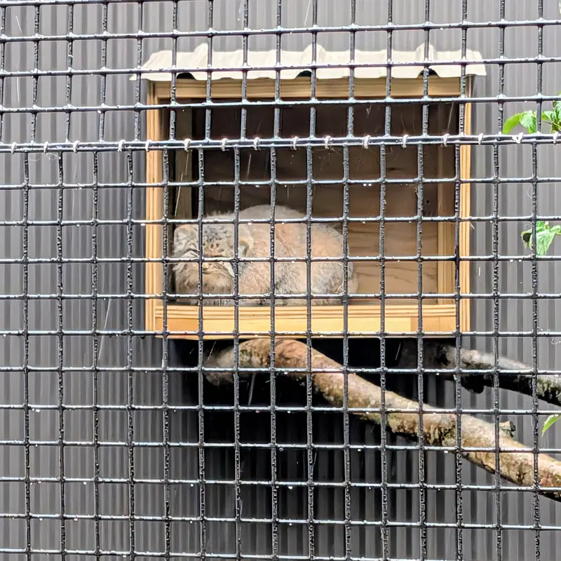 エルムウッド・パーク動物園のレザの写真