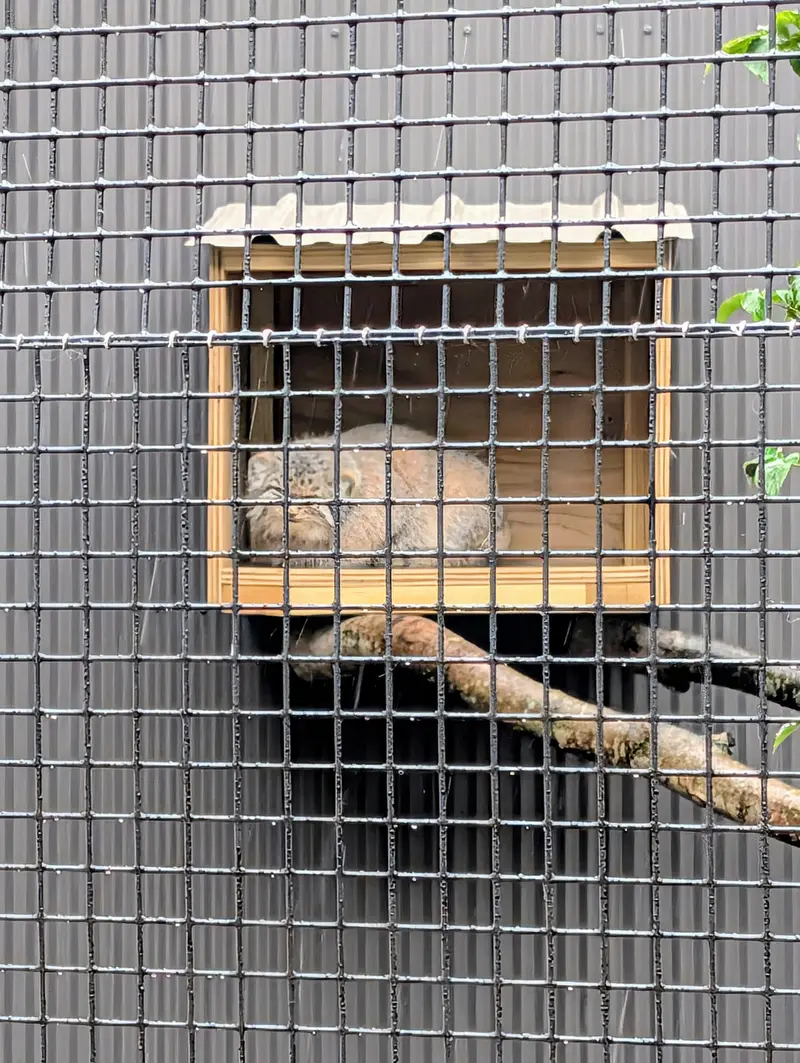 エルムウッド・パーク動物園のレザの写真