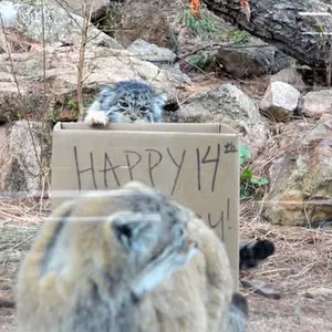 シャイアン・マウンテン動物園のナディアとレッドの写真