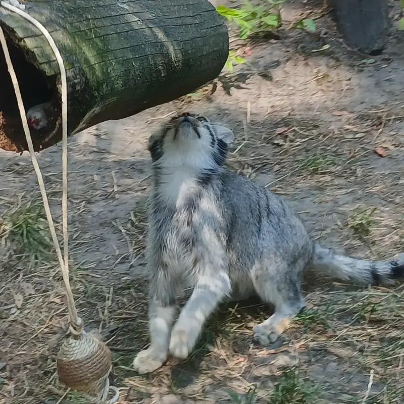 ブダペスト動物園・植物園のルーシーの写真