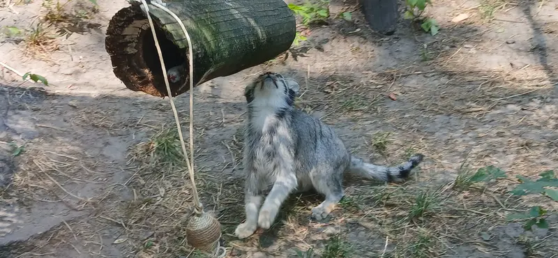 ブダペスト動物園・植物園のルーシーの写真