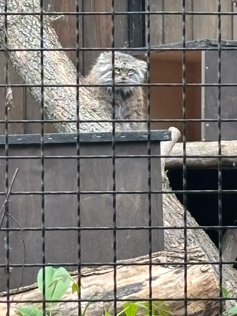 ワルシャワ動物園のジェシーの写真