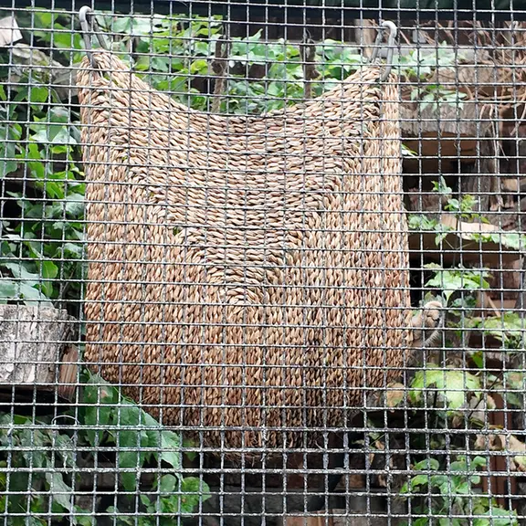 レニングラード動物園のシューの写真