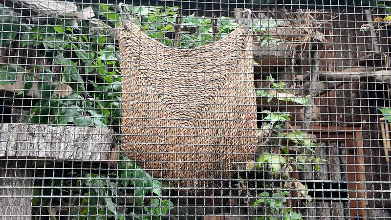 レニングラード動物園のシューの写真