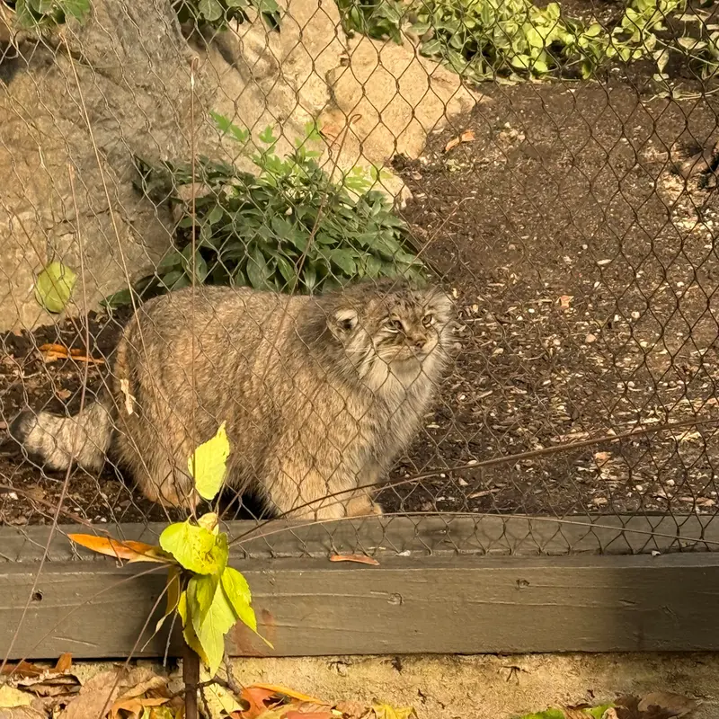 プロスペクト・パーク動物園のサルナイの写真