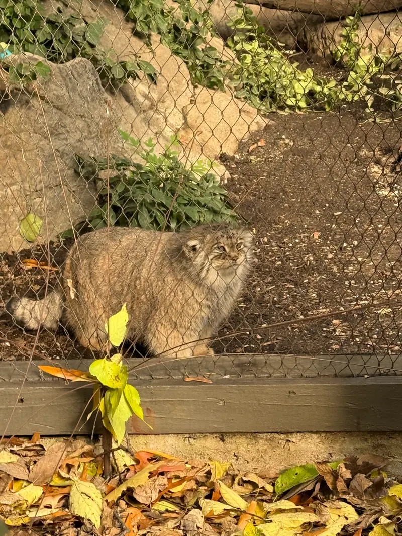 プロスペクト・パーク動物園のサルナイの写真
