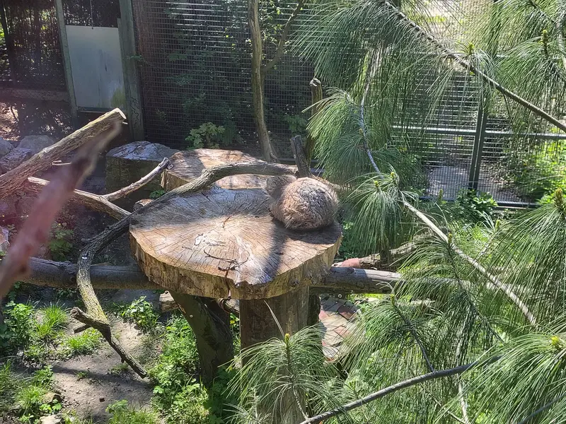 ウッチ動物園のパッツォの写真