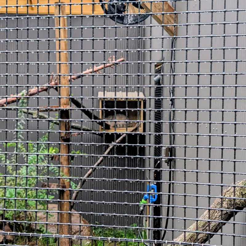 エルムウッド・パーク動物園のカスパーの写真