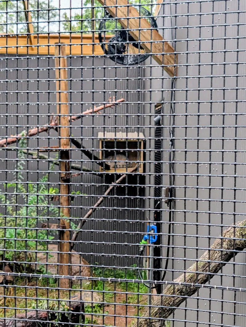 エルムウッド・パーク動物園のカスパーの写真