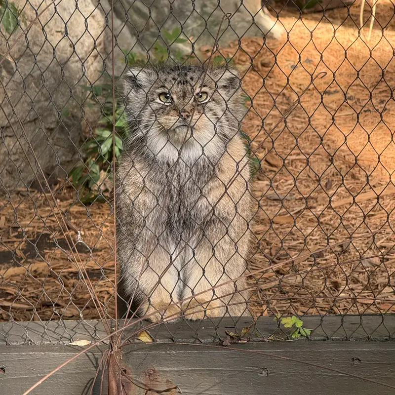 プロスペクト・パーク動物園のサルナイの写真