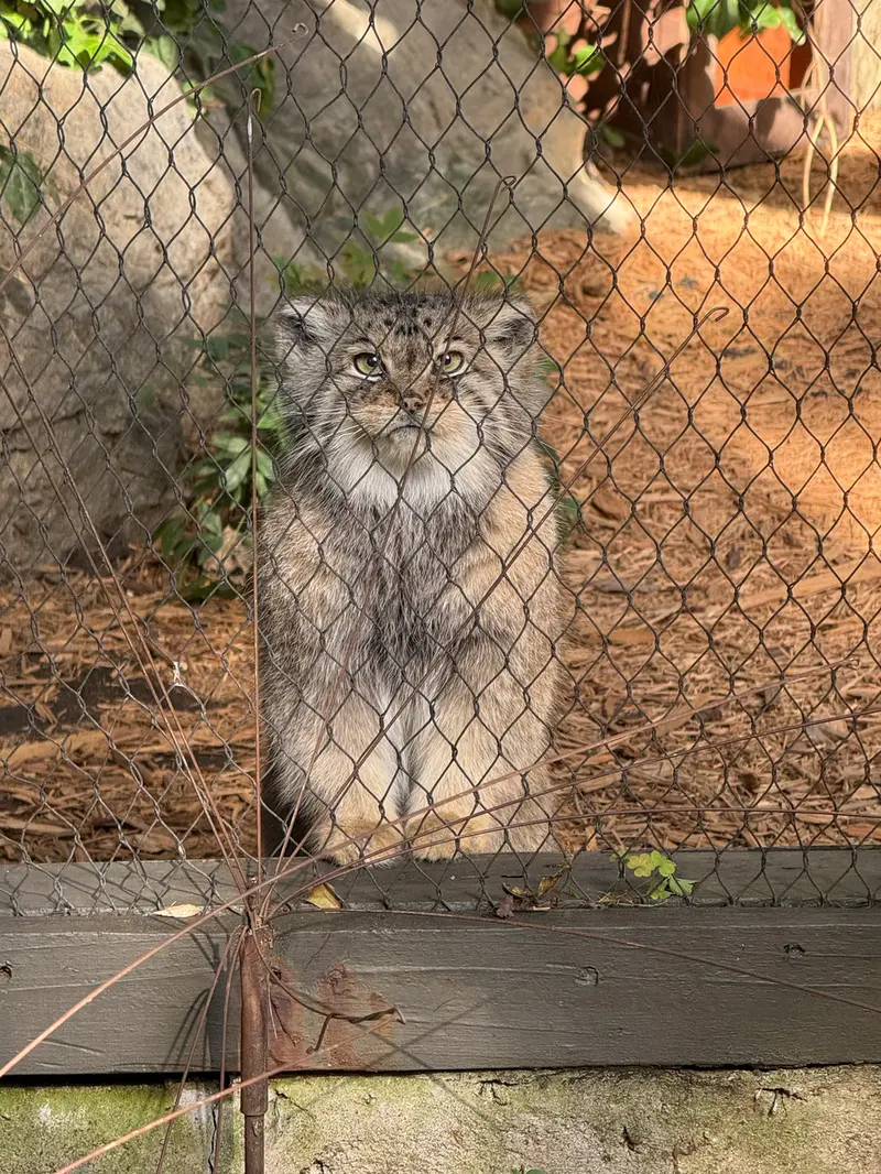 プロスペクト・パーク動物園のサルナイの写真