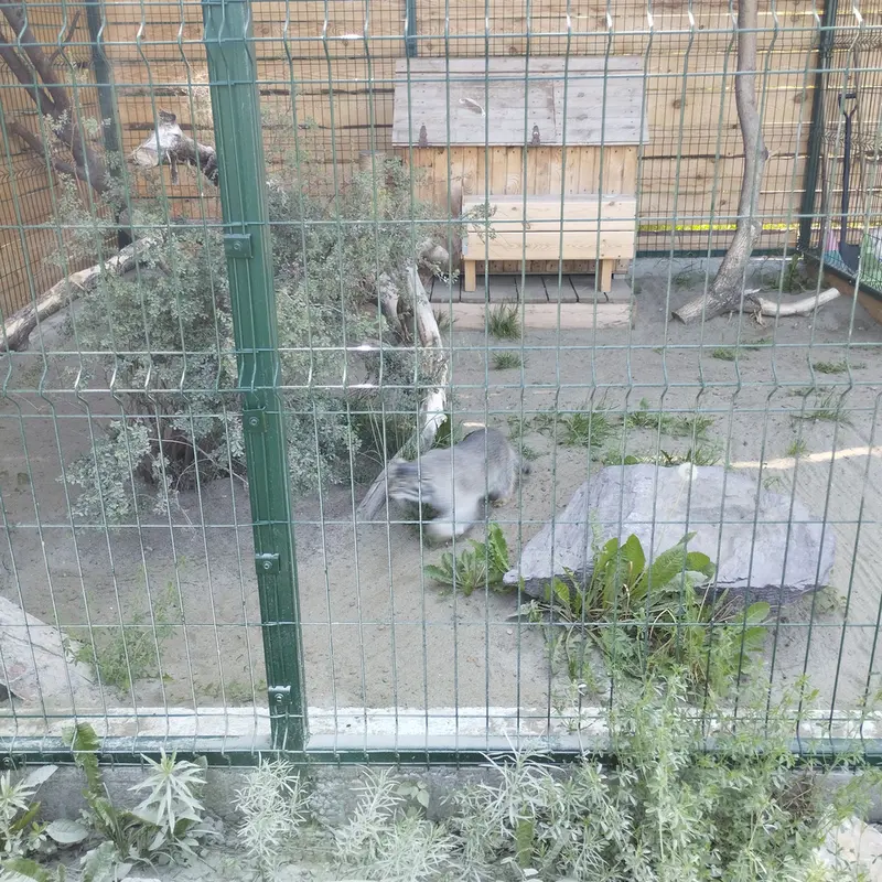 バルナウル動物園「レースナヤ・スカースカ」のペペの写真