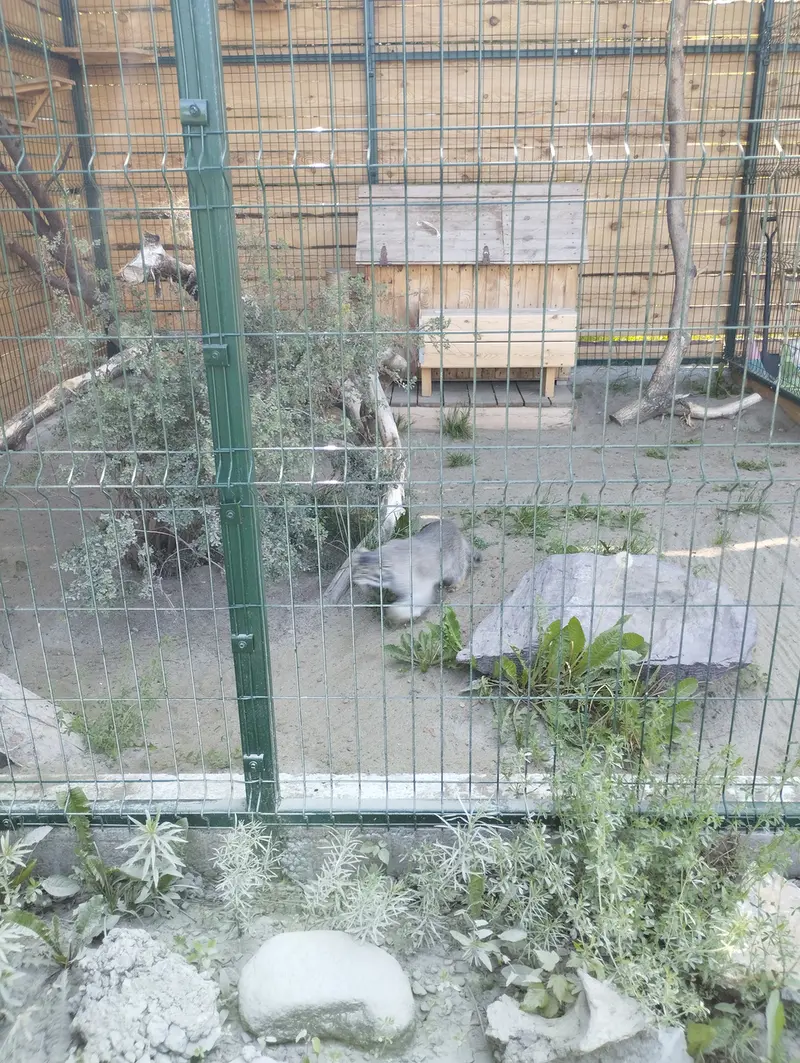 バルナウル動物園「レースナヤ・スカースカ」のペペの写真