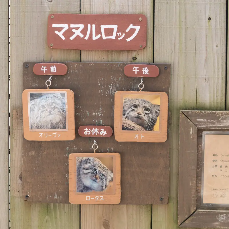 埼玉県こども動物自然公園のロータス、オリーヴァとオトの写真