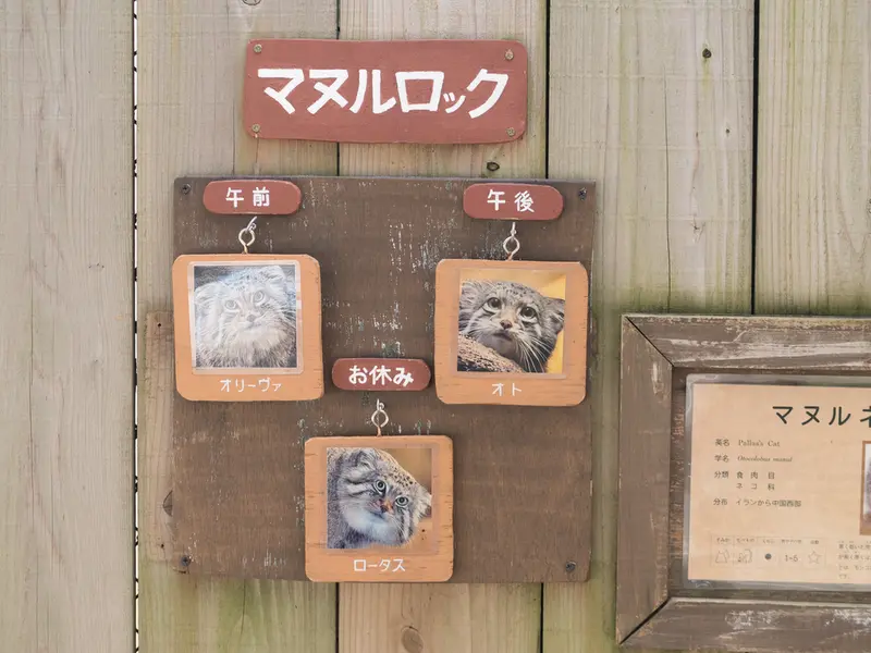 埼玉県こども動物自然公園のロータス、オリーヴァとオトの写真