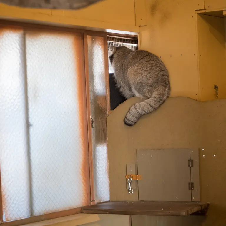 埼玉県こども動物自然公園のオトの写真