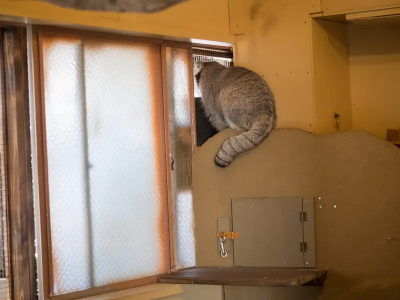 埼玉県こども動物自然公園のオトの写真