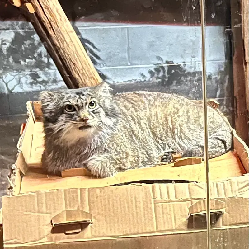 スペリオル湖動物園のパブの写真