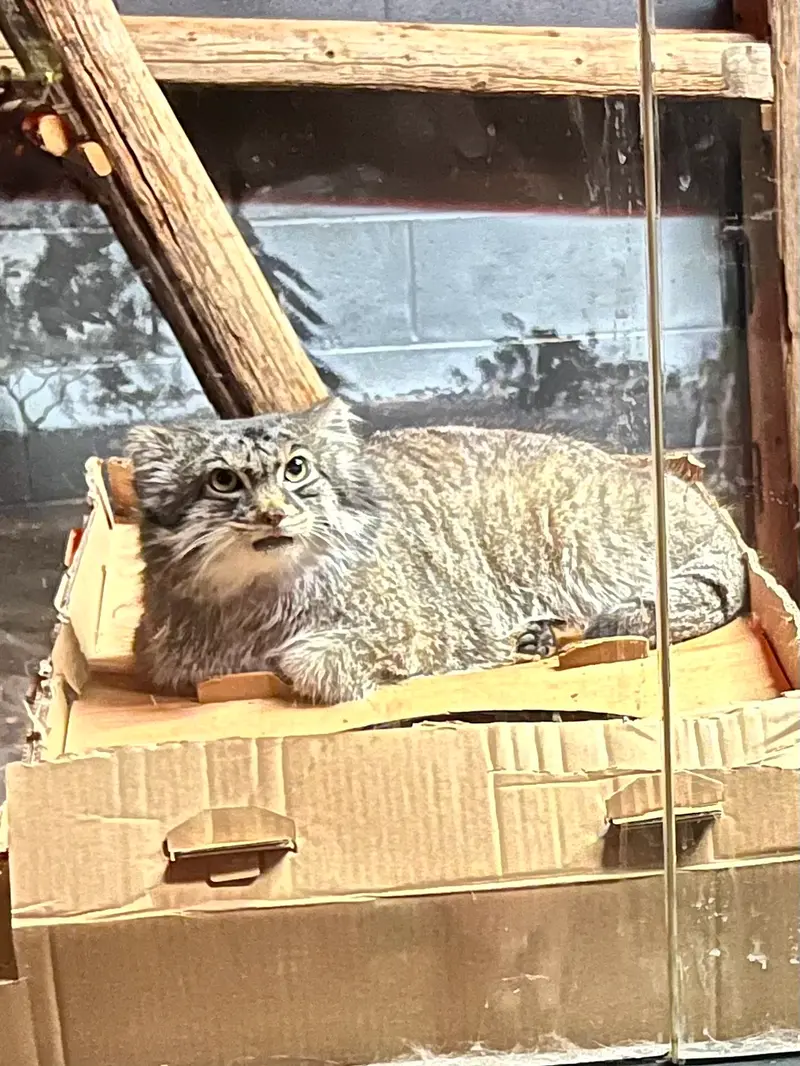 スペリオル湖動物園のパブの写真