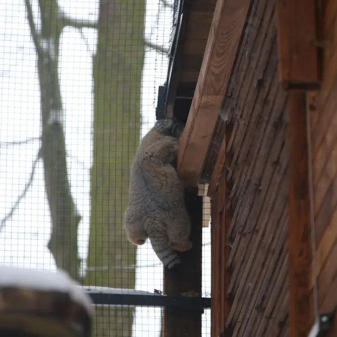 グダニスク動物園のウラの写真