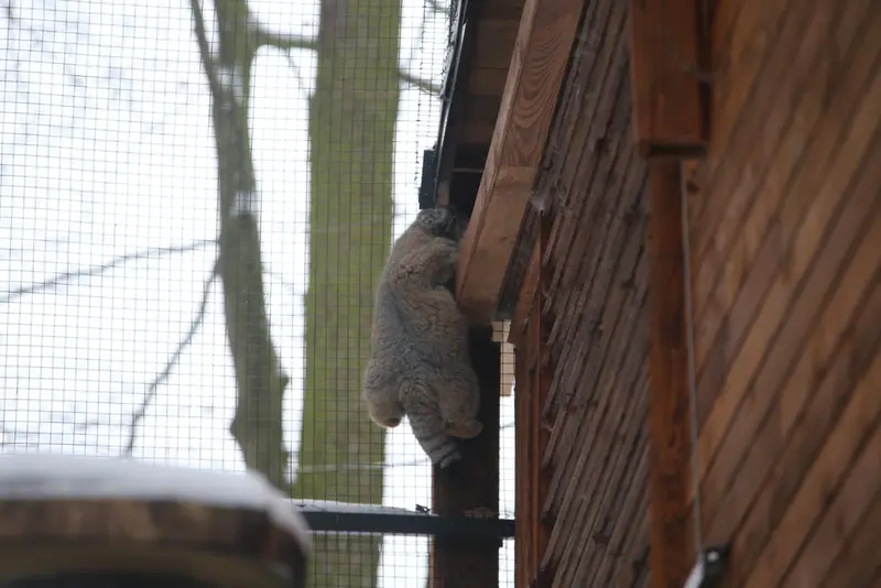 グダニスク動物園のウラの写真