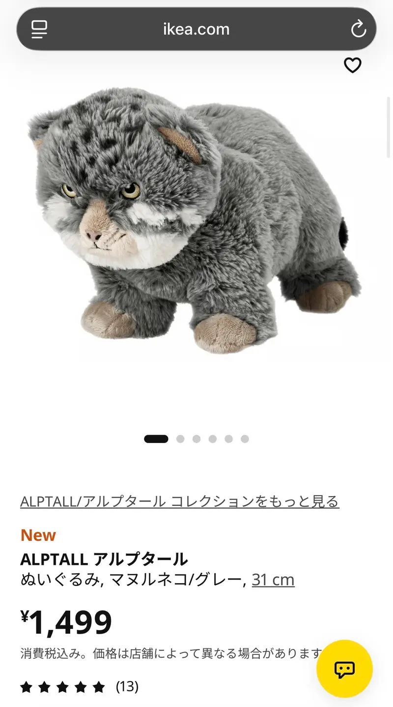マヌルネコの写真