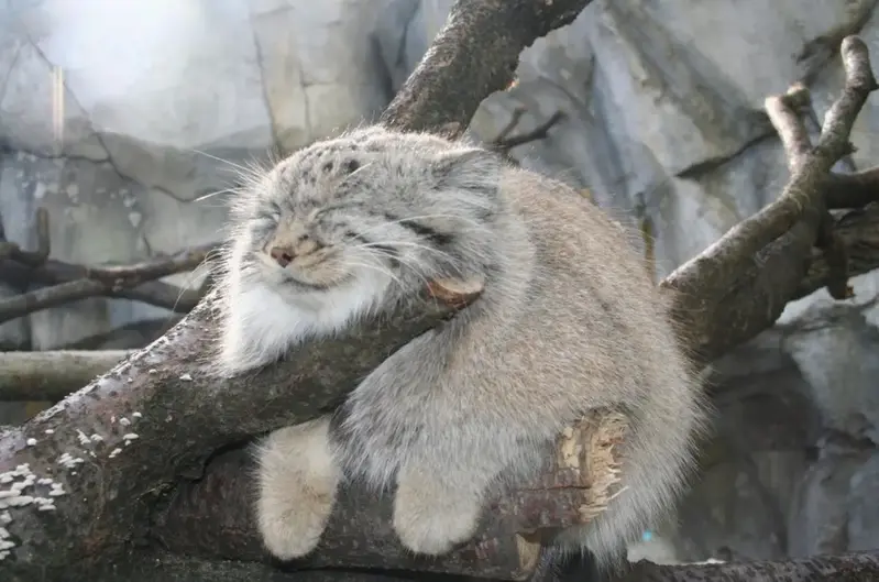 コロンバス動物園・水族館のバディの写真