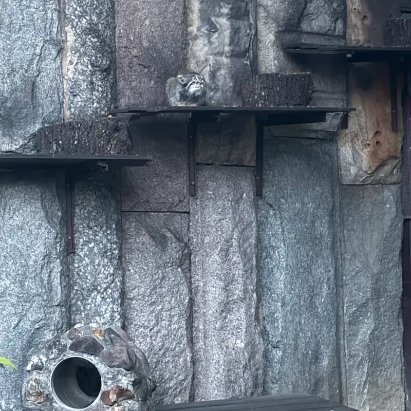 モスクワ動物園のティモフェイの写真
