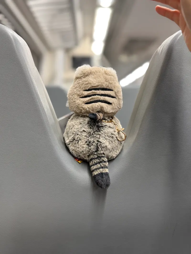 マヌルネコの写真