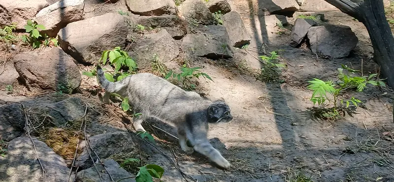ブダペスト動物園・植物園のルーシーの写真