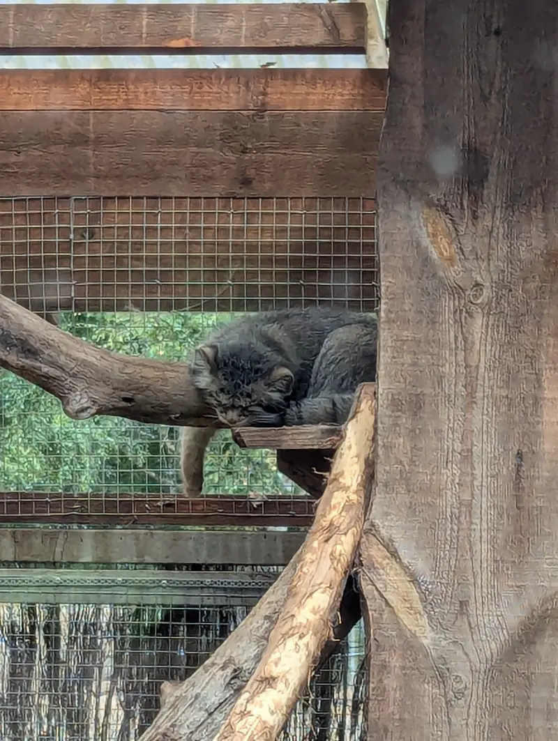 タリン動物園のアルタニの写真