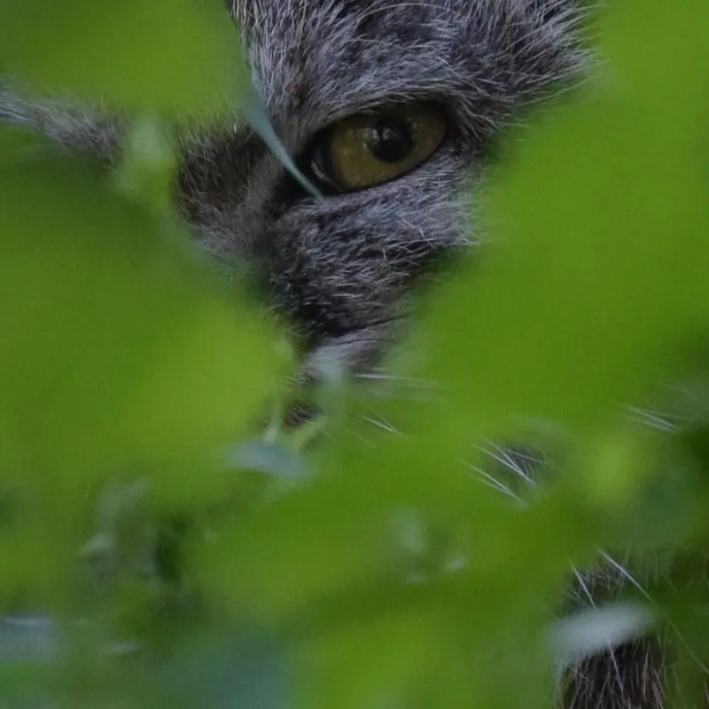 ブダペスト動物園＆植物園のルーシーの写真