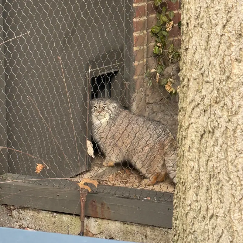 プロスペクト・パーク動物園のサルナイの写真
