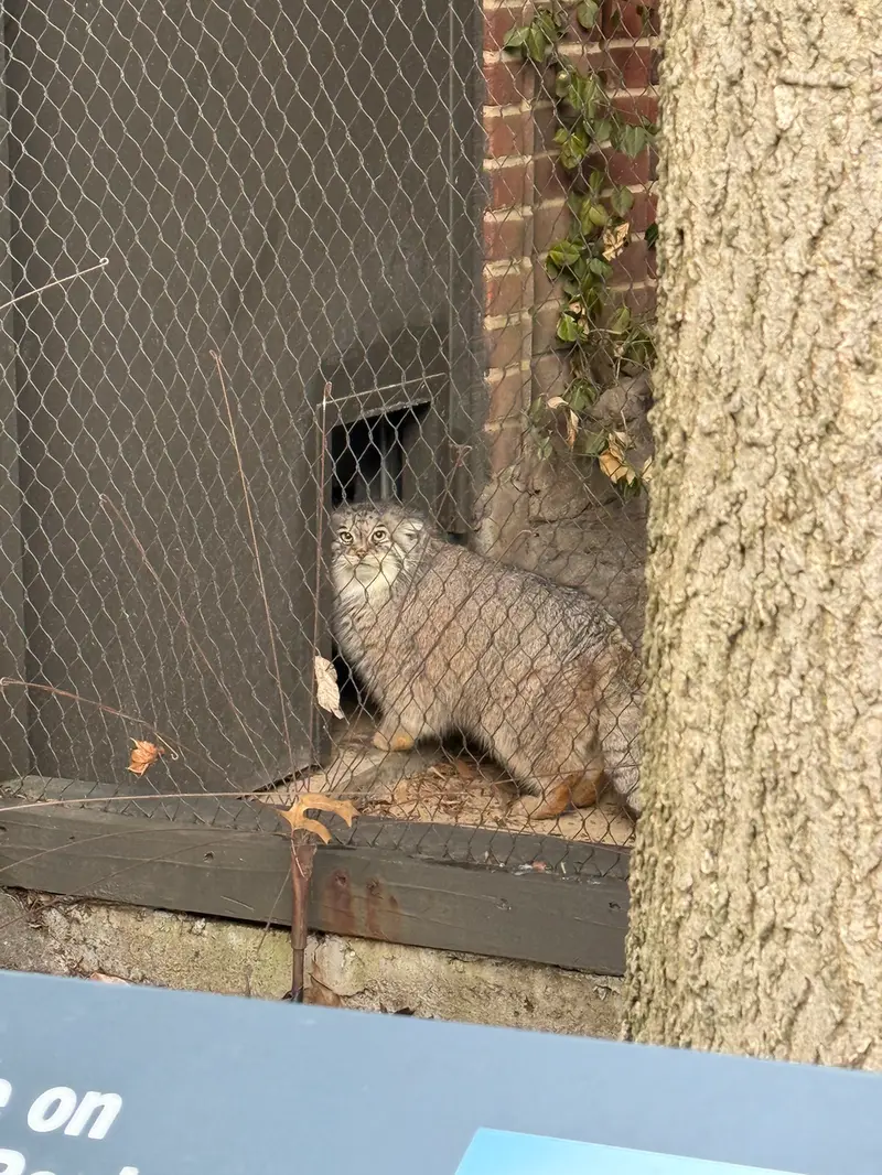 プロスペクト・パーク動物園のサルナイの写真