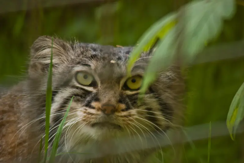 ザールブリュッケン動物園のカール・ハインツの写真
