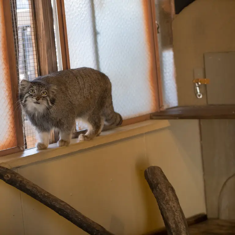 埼玉県こども動物自然公園のオトの写真